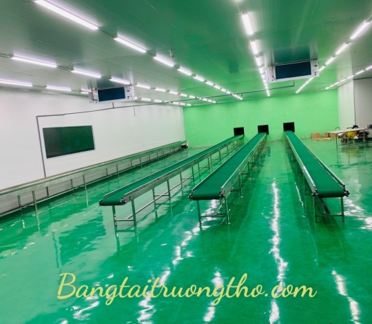 Băng tải pvc tải sầu riêng